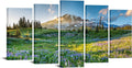 Large Canvas Print Wall Art Mount Rainier National Park at Sunrise Landscape Painting Giclee Print Gallery Wrap Ready to Hang Q29002