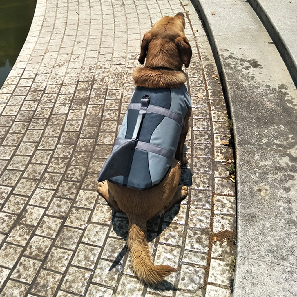 Dog Pet Shark Swimsuit Vest Pet Safety Wear Dog Swimsuit Preserver Q7770