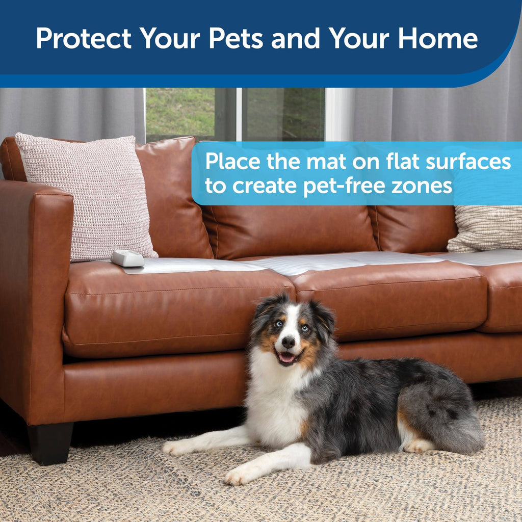 Sofa Training Mat, 12 x 60 Inches V4581