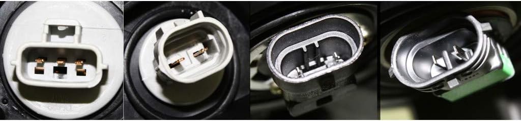 Headlight Assembly Pair with Bulbs R169