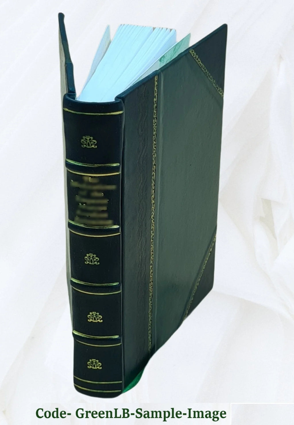 Hallucinations and illusions; a study of the fallacies of perception T16329