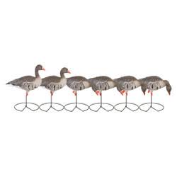 Full-Body Specklebelly Decoy Pack X155199
