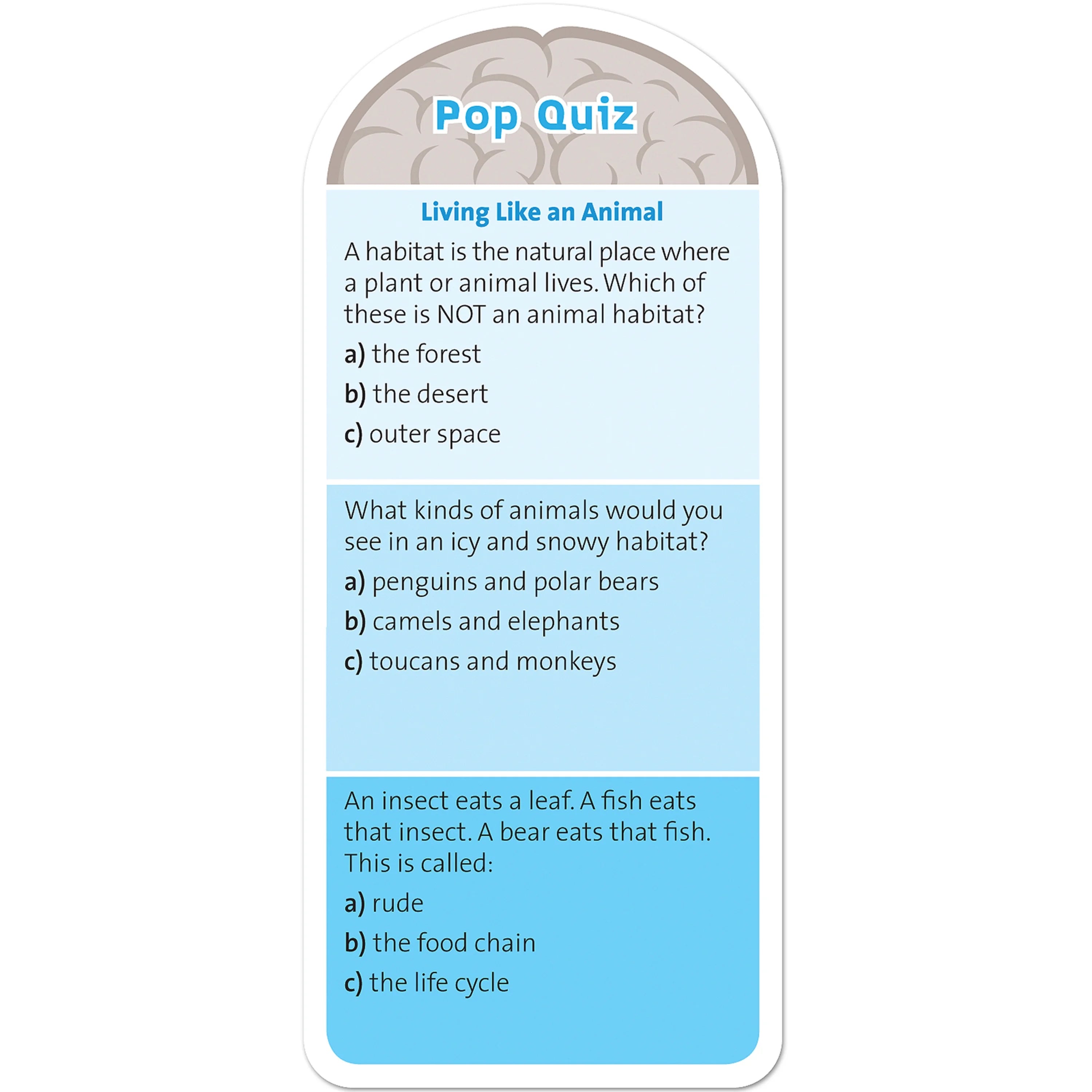 1st Grade Card Set with 120 Educational Questions, Puzzles, and Games M9111
