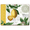 Set of 4 Cork-Back Placemats B2301