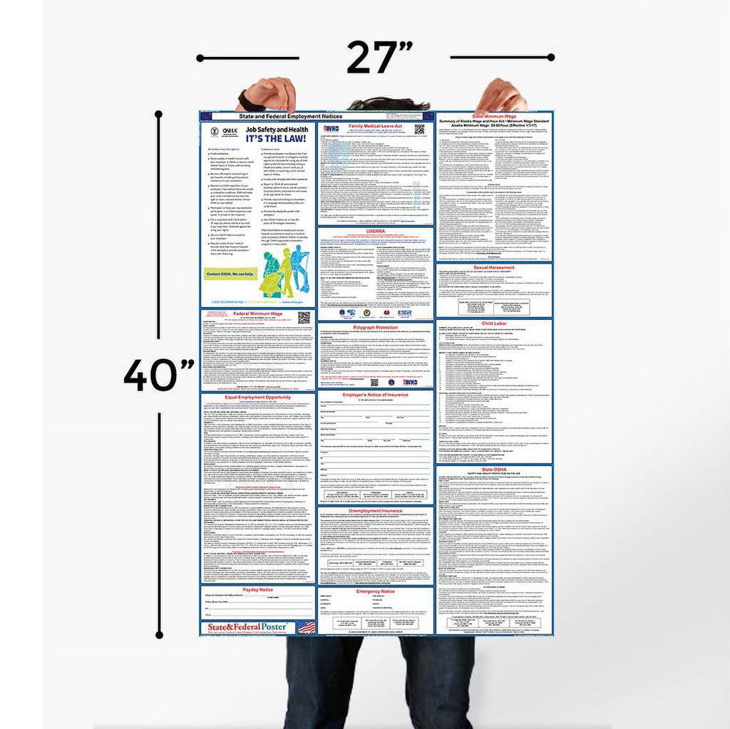 Connecticut State and Federal Labor Law Poster W247