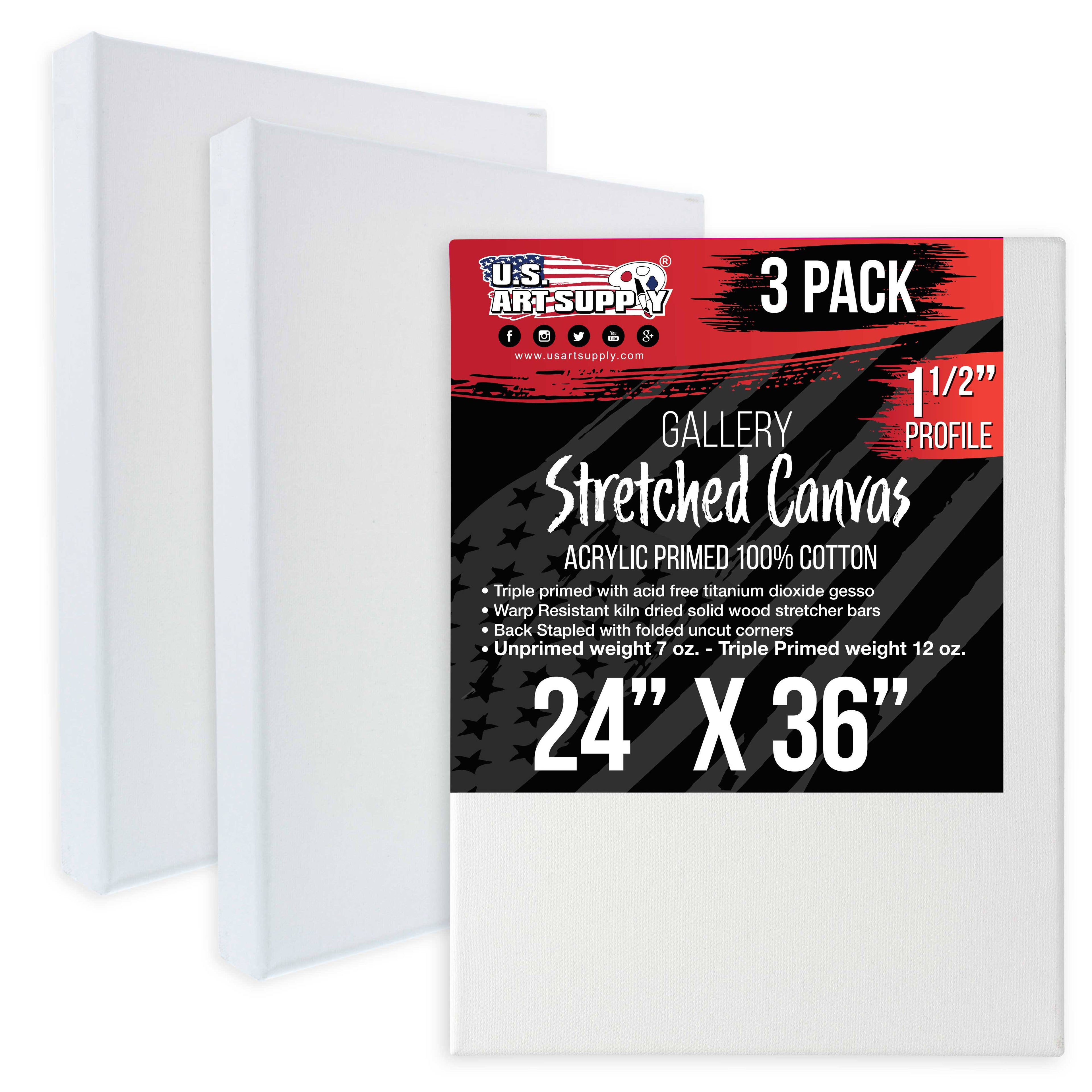 24x22 x 36x22 Gallery Depth 1-1/2x22 Profile Stretched Canvas 3-Pack U202