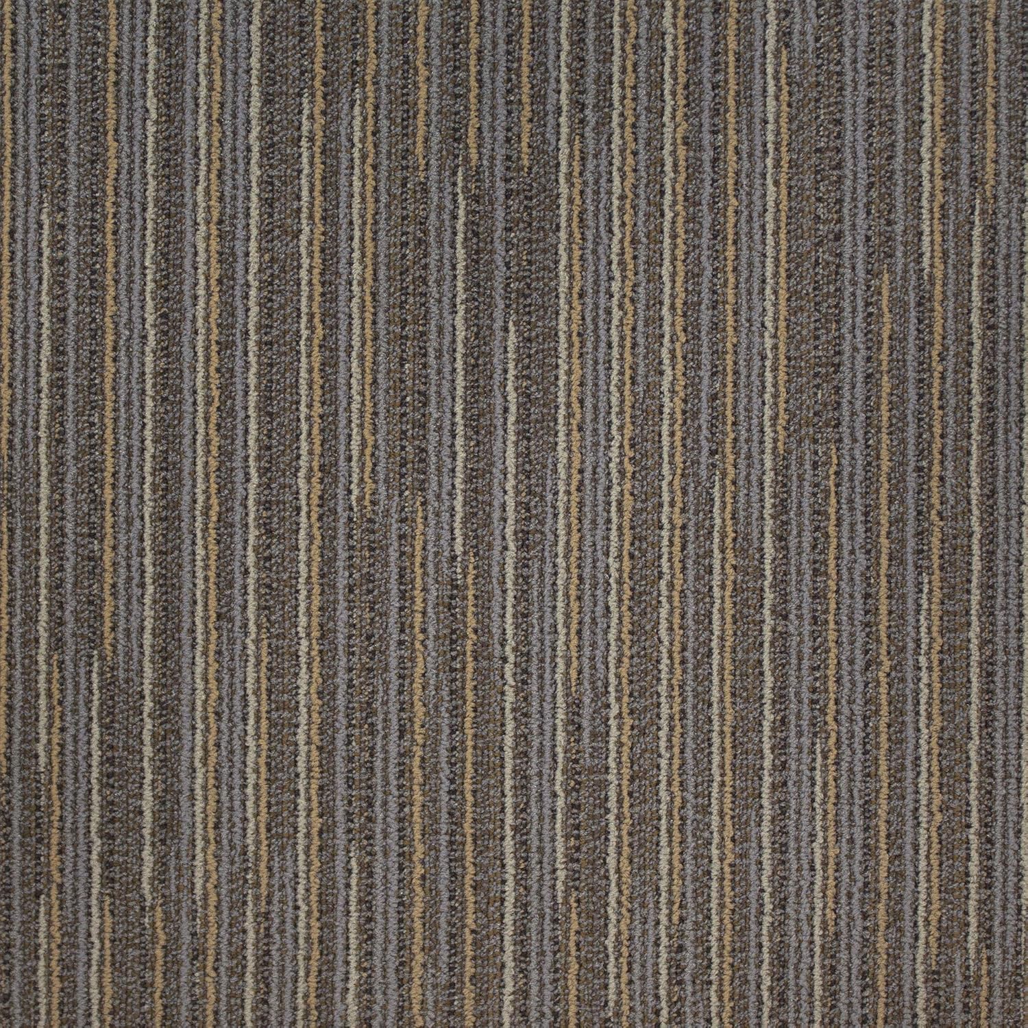 54 Square Feet Carpet Tile E228744