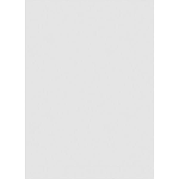 PVC Gable Vent with Brickmould E59767