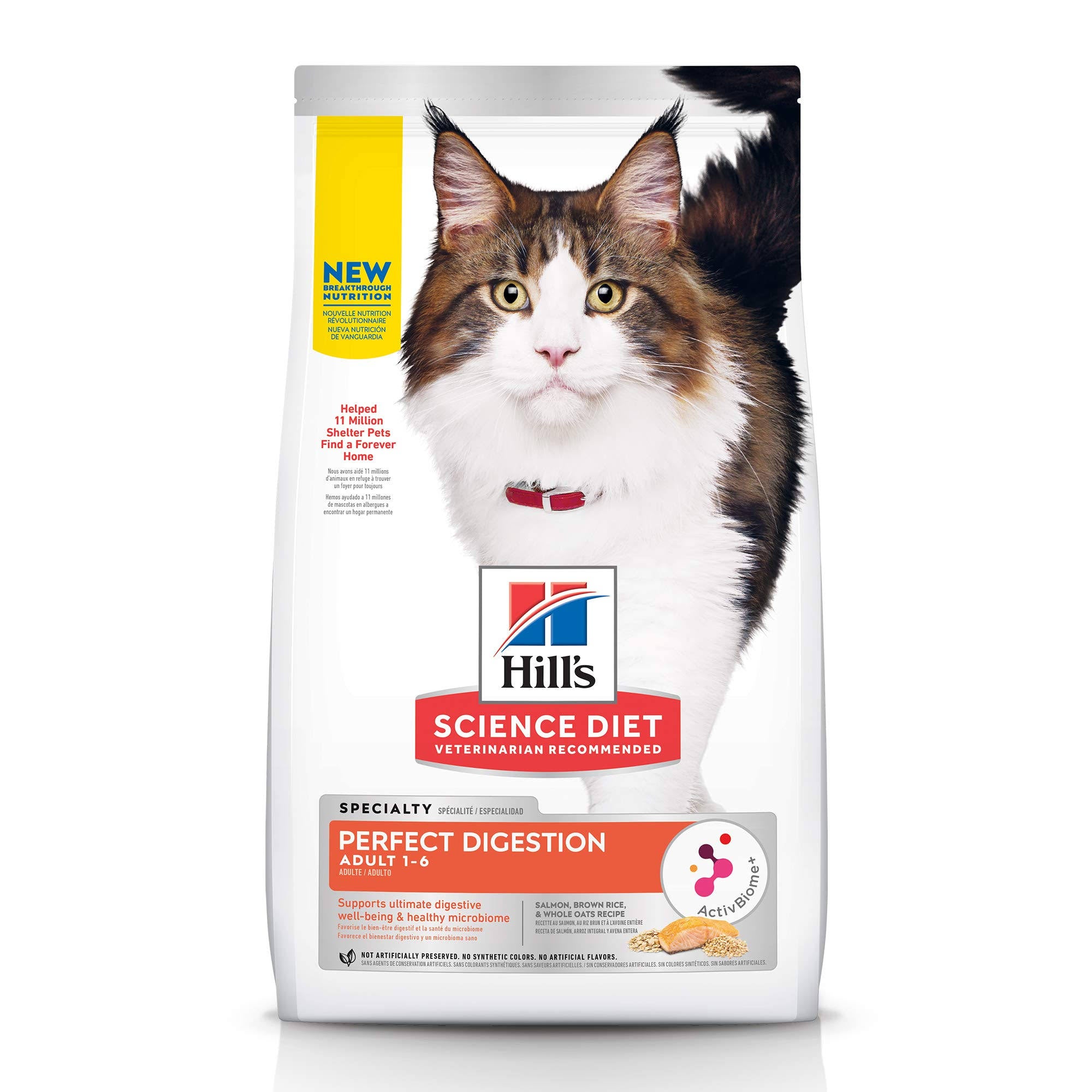 Adult Salmon Dry Cat Food 13-lb R561598