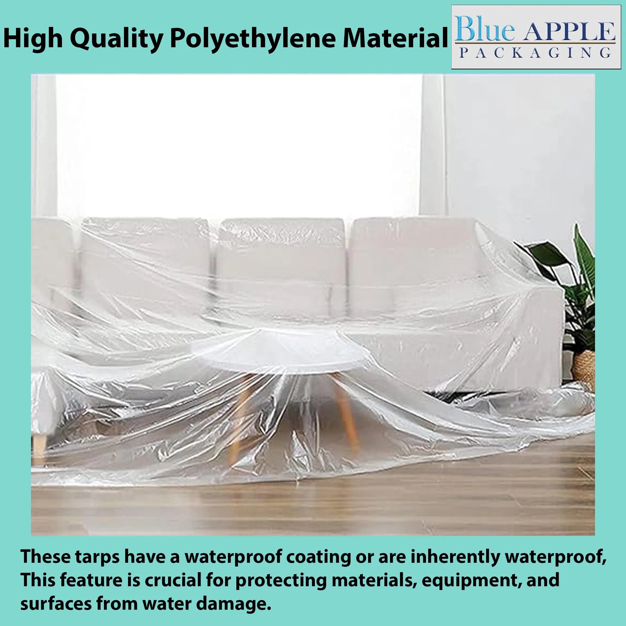 6Mil Clear LDPE Plastic Sheeting Tarp (12ft x 100ft) N524894