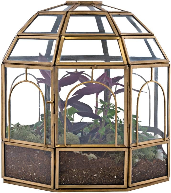 Large Glass Terrarium Pack of 2 Z516321