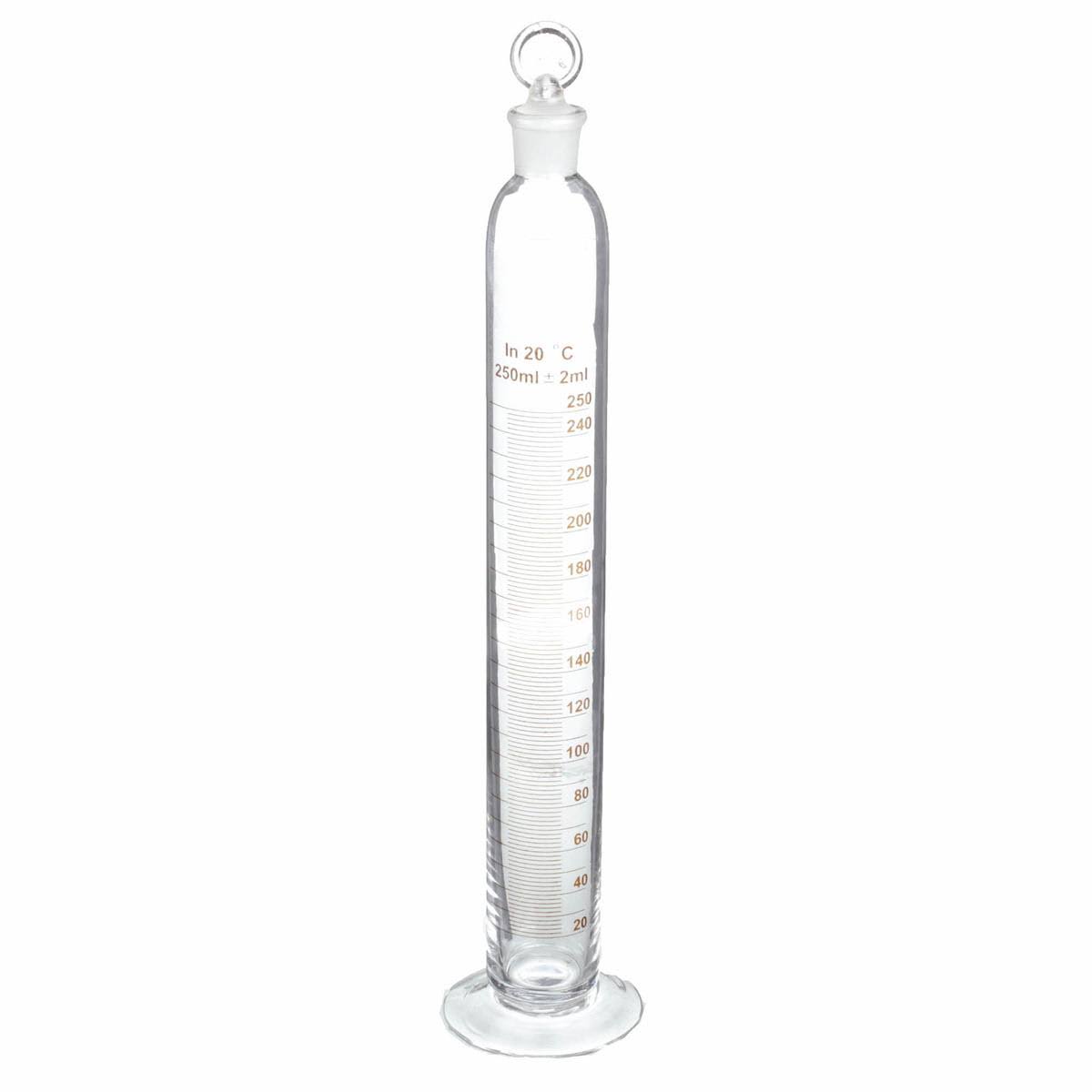 250mL Glass Graduated Cylinder T300