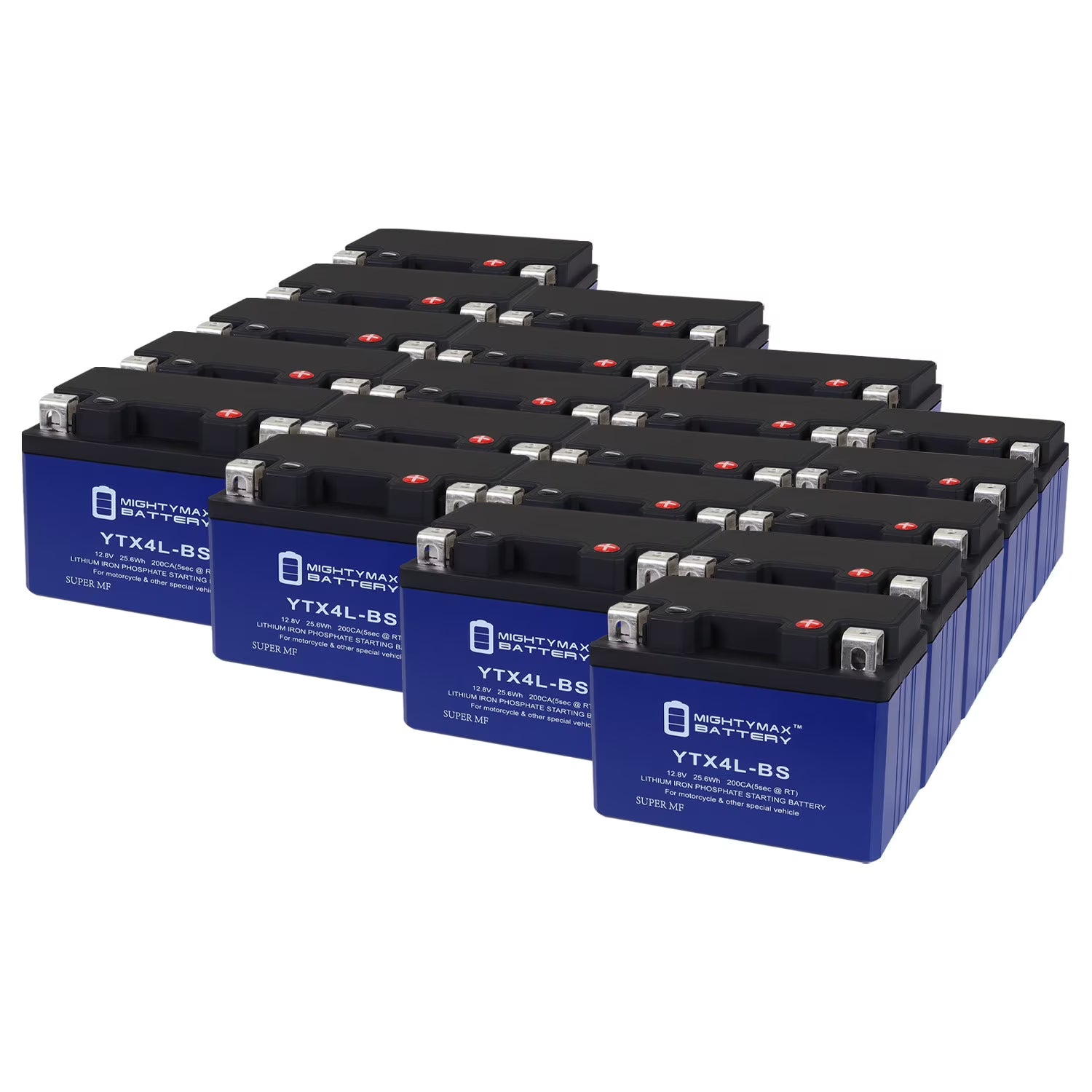 20 Pack Lithium Replacement Battery R865245