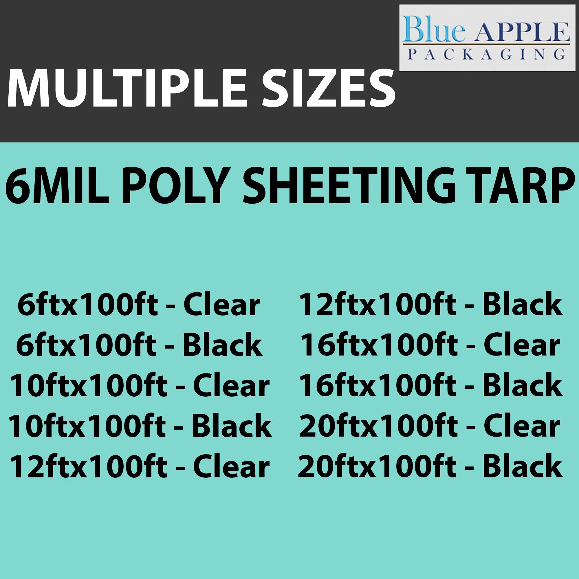 6Mil Clear LDPE Plastic Sheeting Tarp (12ft x 100ft) N524894