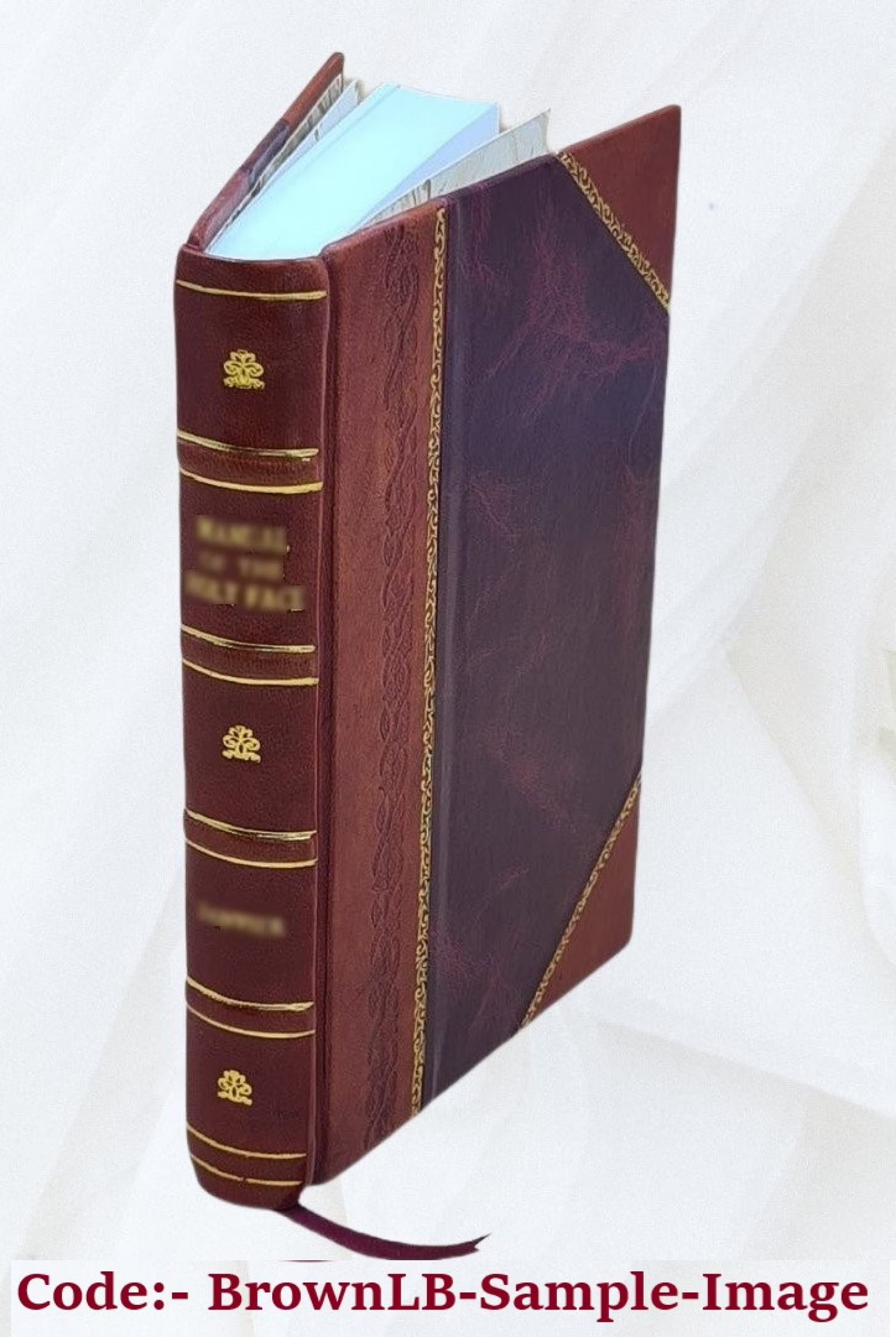 Leather Bound Book O372