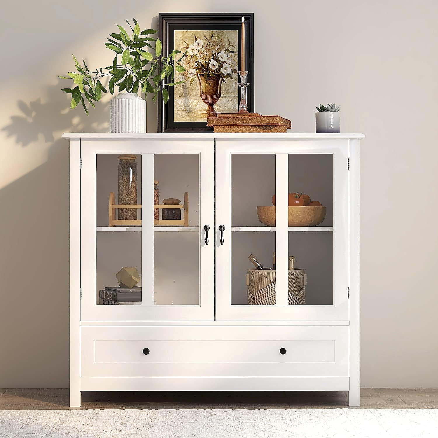 Brown Glass Door Storage Cabinet S47101