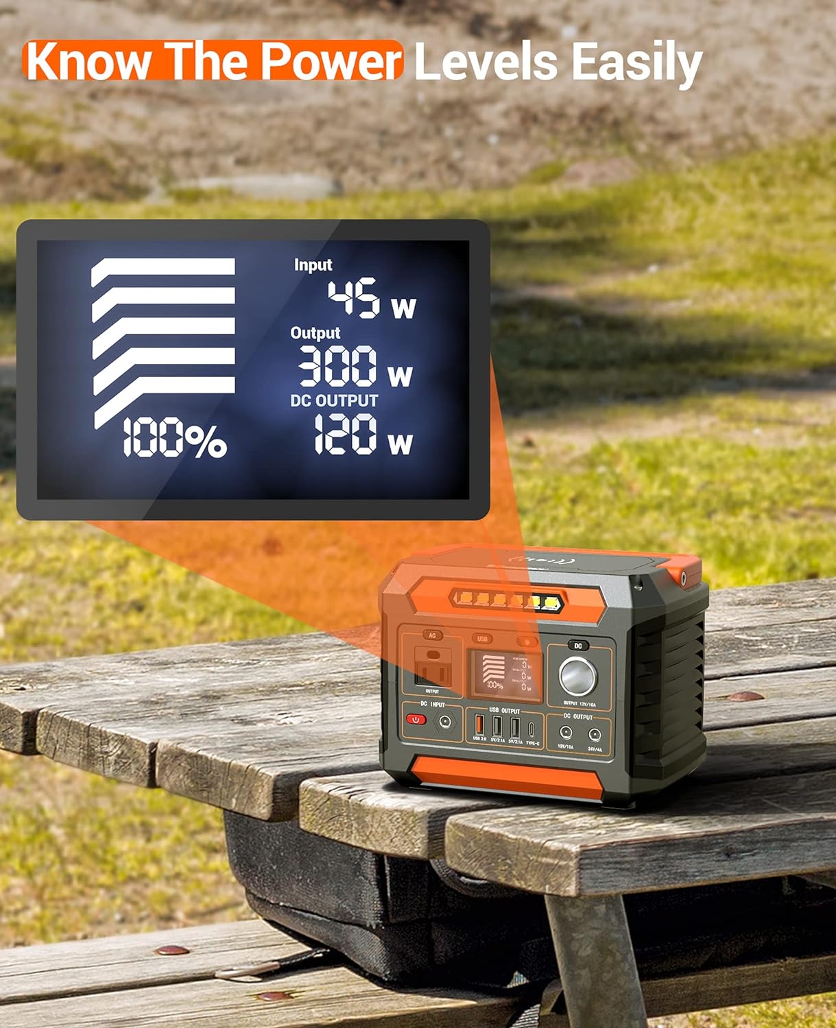Portable Power Station 300W, 299Wh/80818mAh, Regulated DC Output, Pure Sine Wave, LED Light N9218