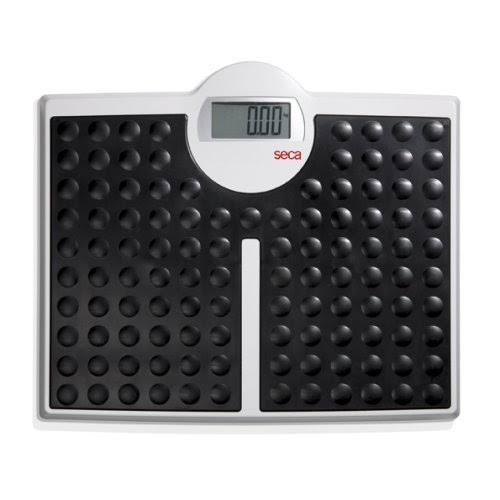 High Capacity Digital Flat Scale S26559