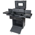 Multifunction Cosmetics Trolley Train Case B523133