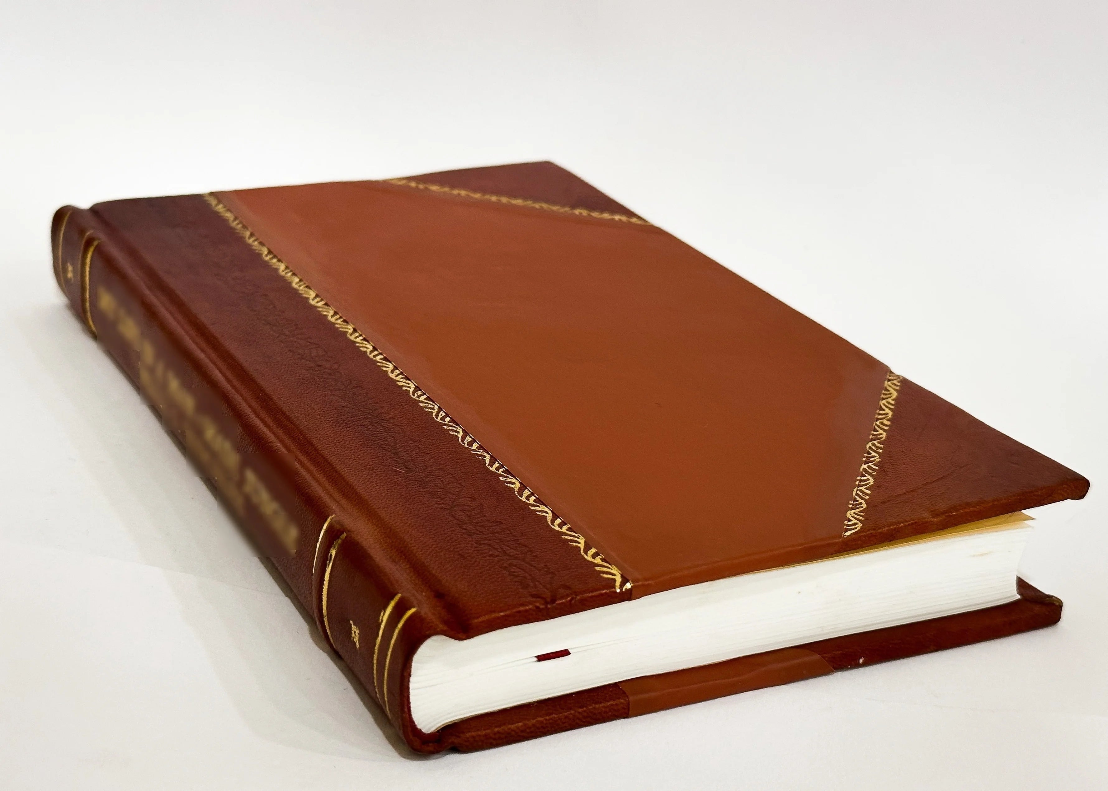 Leather Bound Book S778625