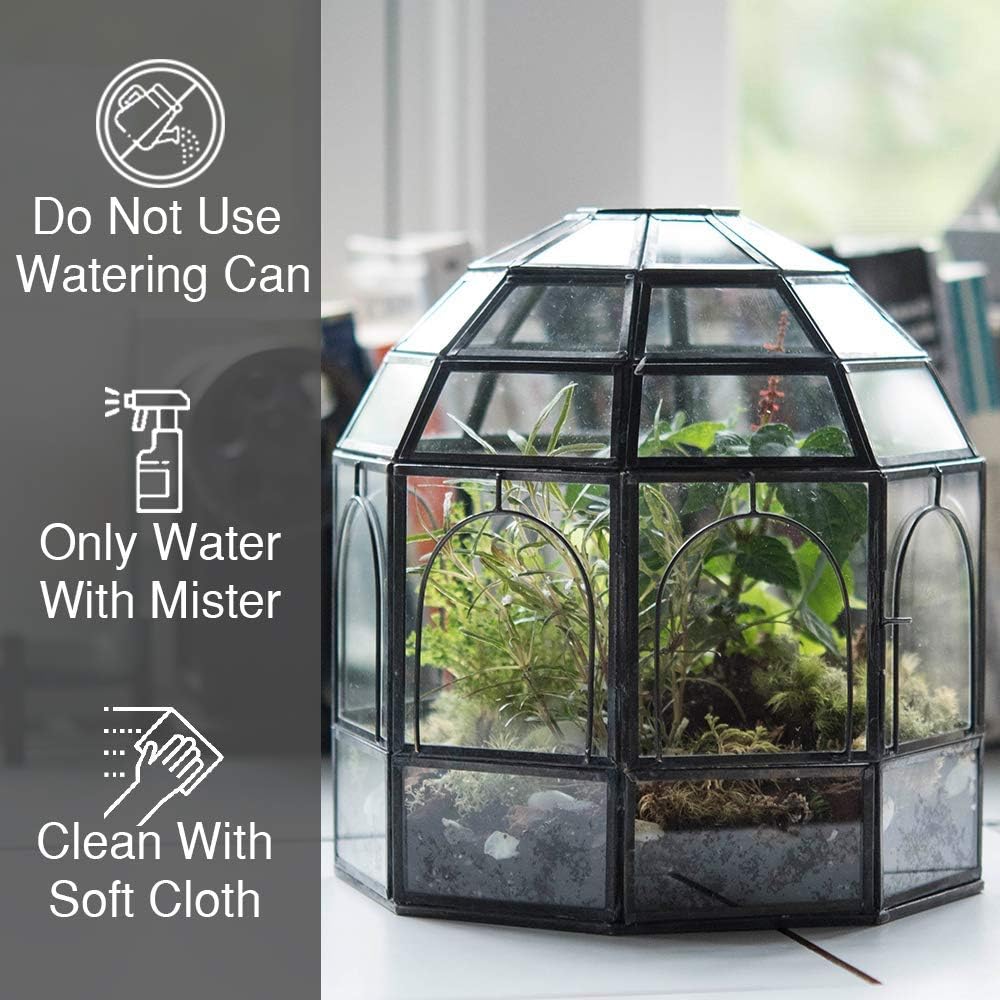 Large Glass Terrarium Pack of 2 Z516321