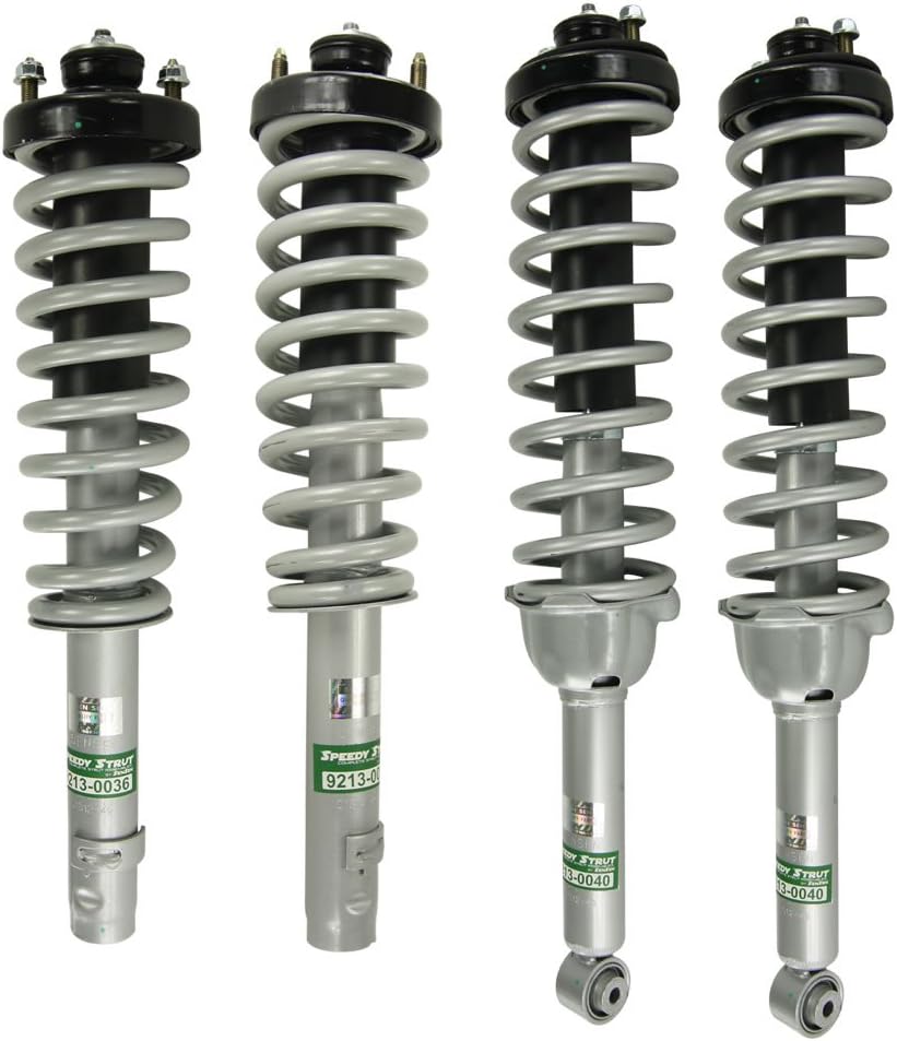 Front or Rear Complete Strut Assembly N834