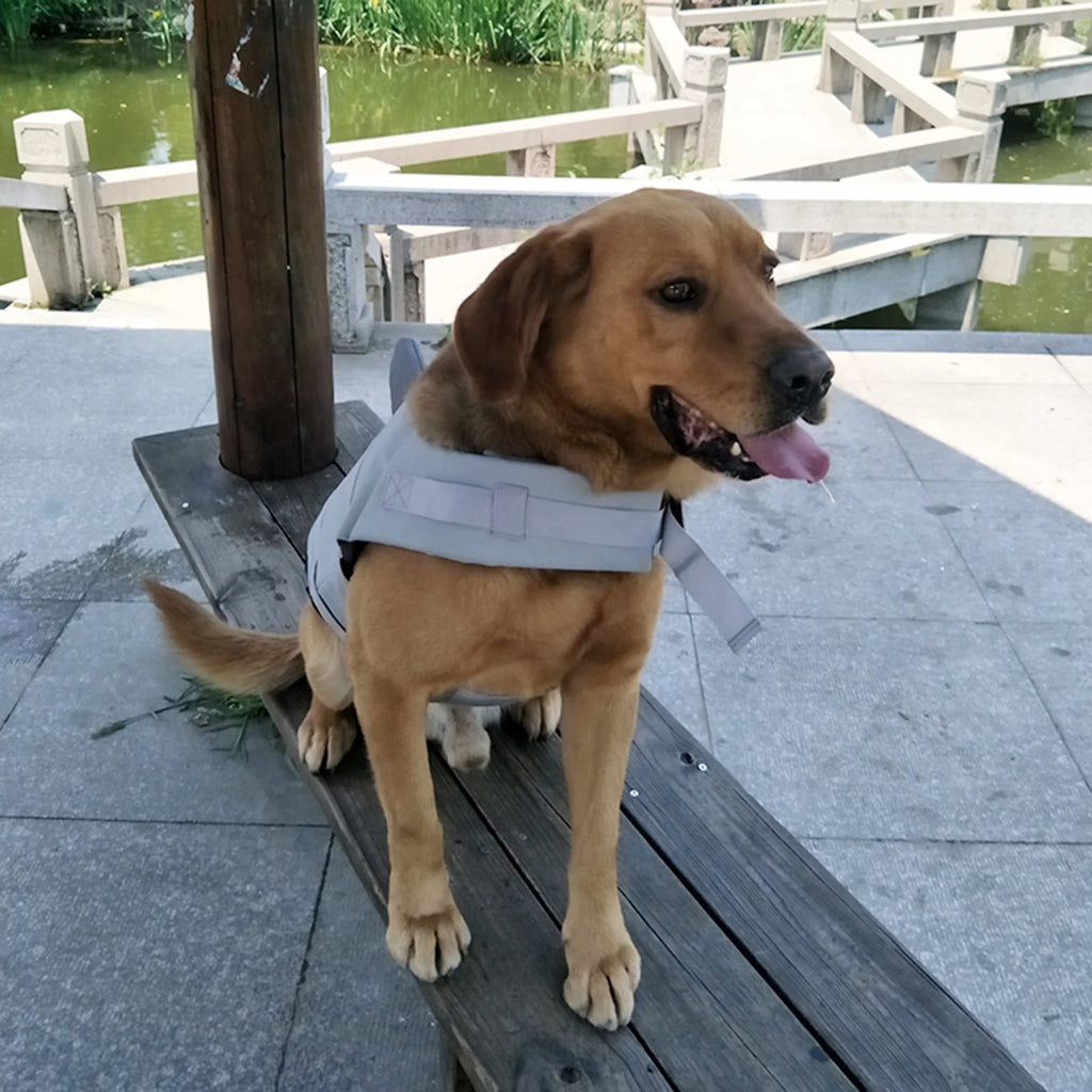 Dog Pet Shark Swimsuit Vest Pet Safety Wear Dog Swimsuit Preserver Q7770