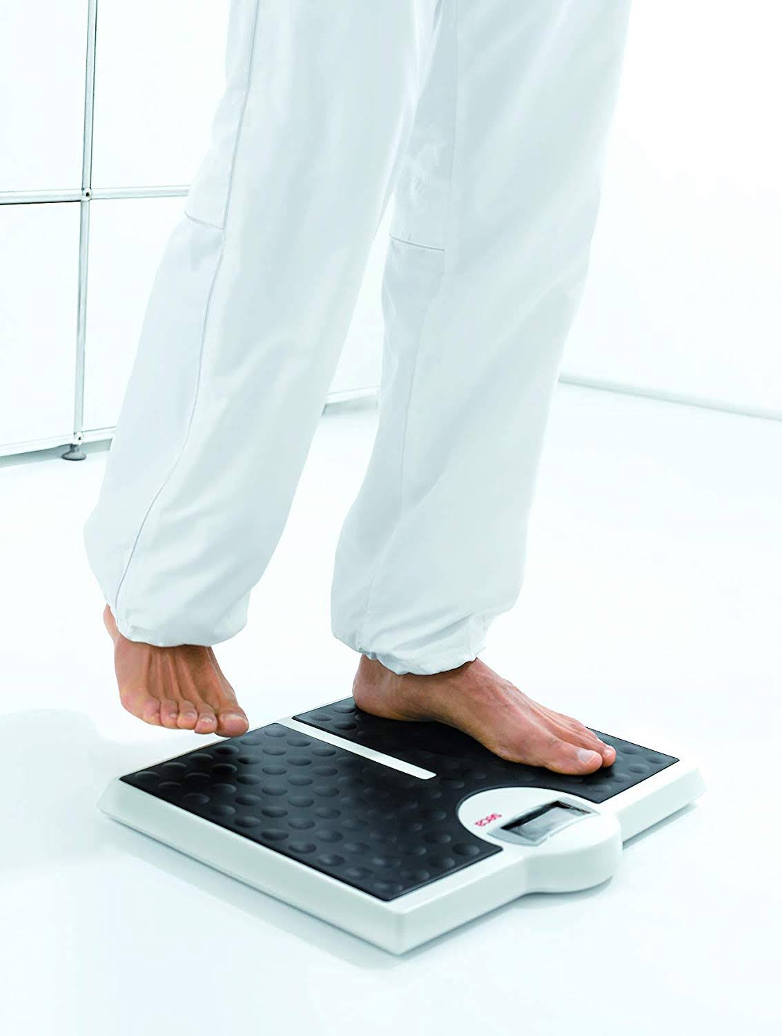 High Capacity Digital Flat Scale S26559