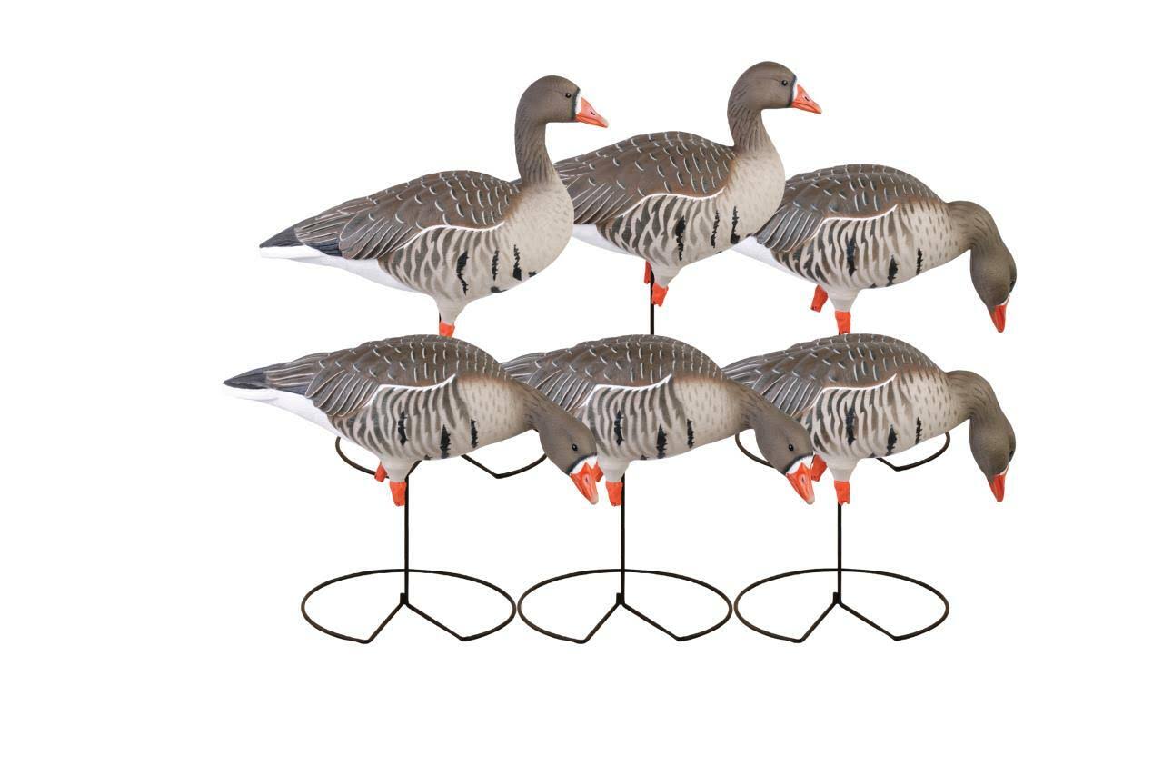Full-Body Specklebelly Decoy Pack X155199