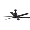 Black Ceiling Fan Z656