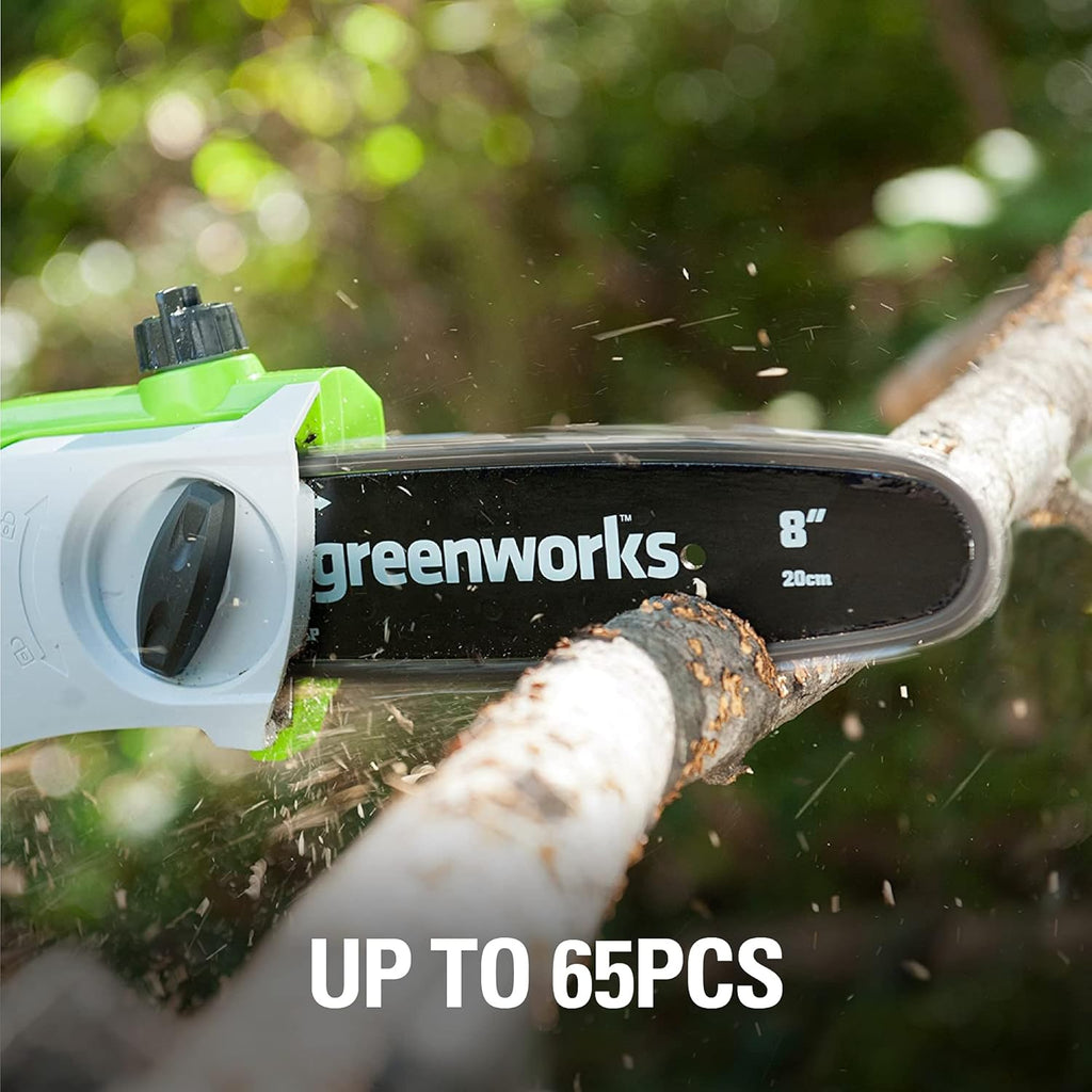 40V 8-Inch Cordless Pole Saw A267