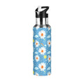 Insulated Stainless Steel Water Bottle with Straw Lid 20 oz F15527