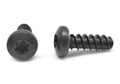 6 Lobe Pan Head Thread Rolling Screw Low Carbon Steel Black Oxide/Wax Pk 10000 U34387