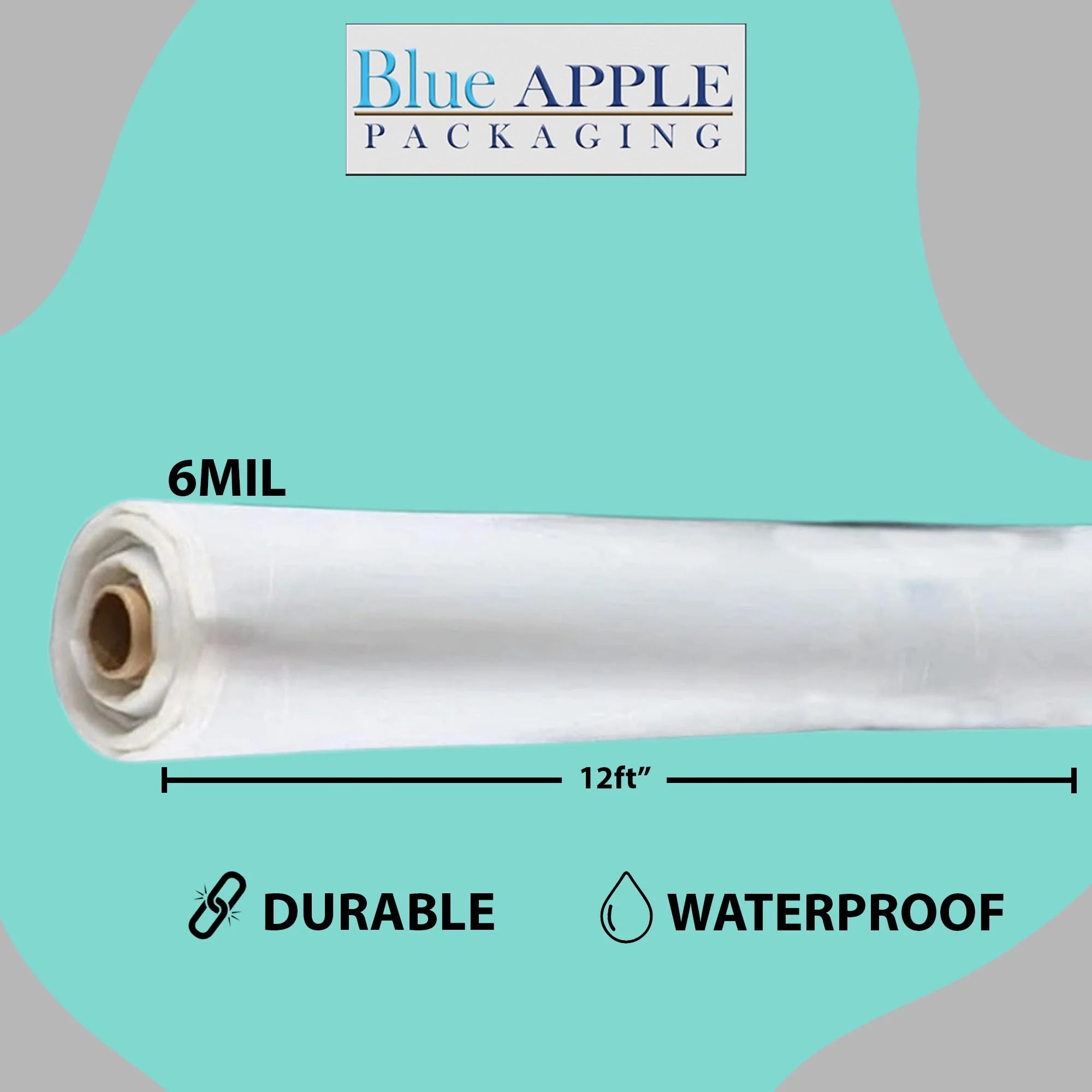 6Mil Clear LDPE Plastic Sheeting Tarp (12ft x 100ft) N524894