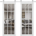 Double Barn Door with Clear Glass 12 lites Matte White Q2717