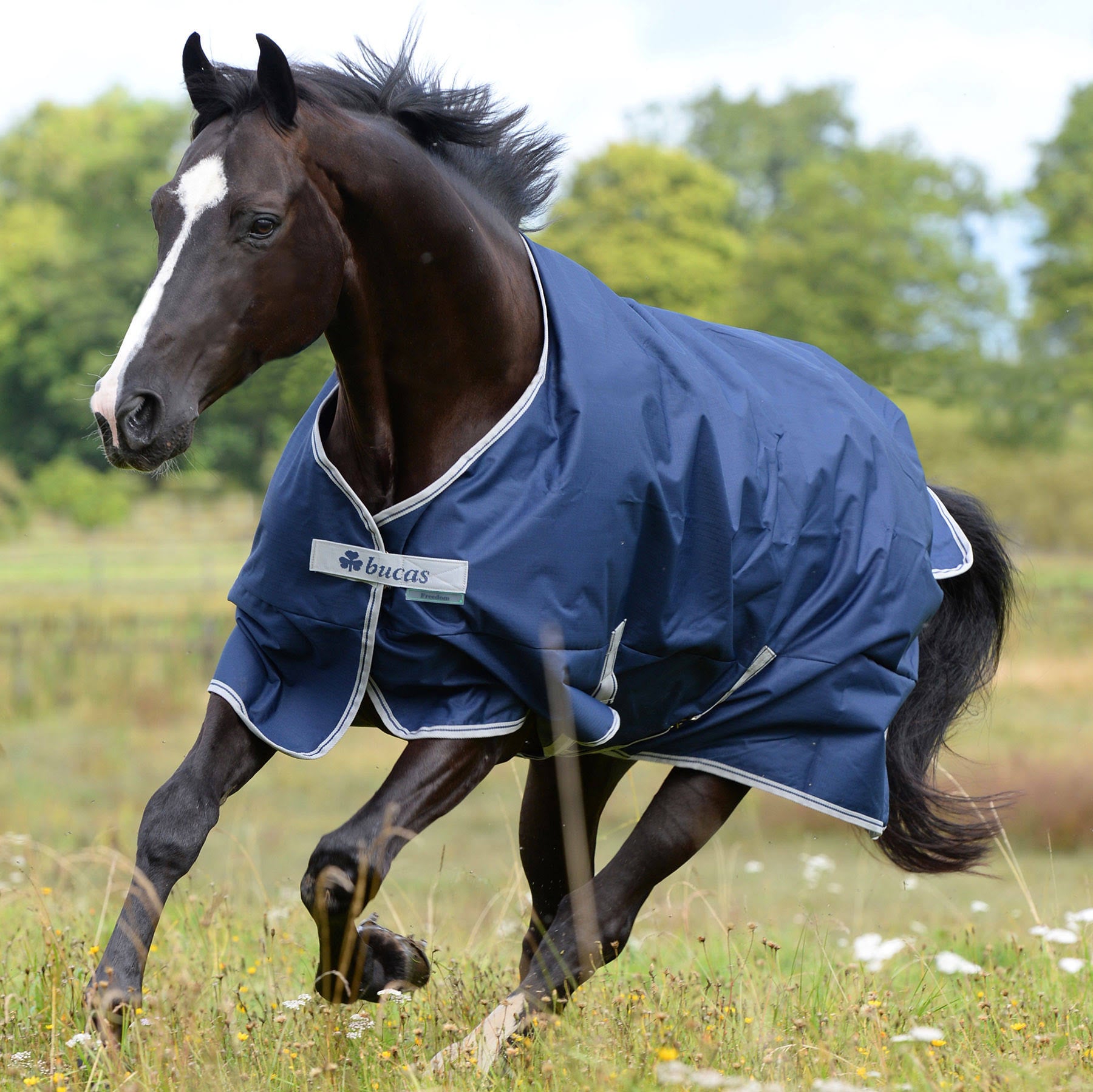 160 Navy Turnout 300 Grams T669