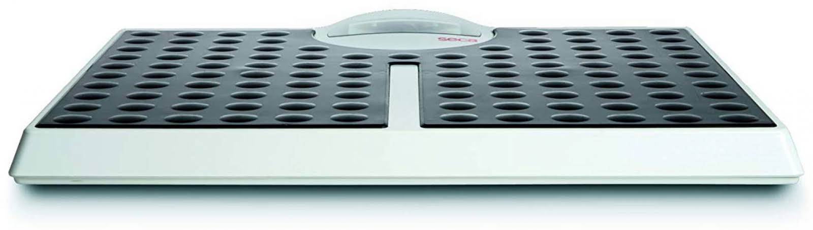 High Capacity Digital Flat Scale S26559