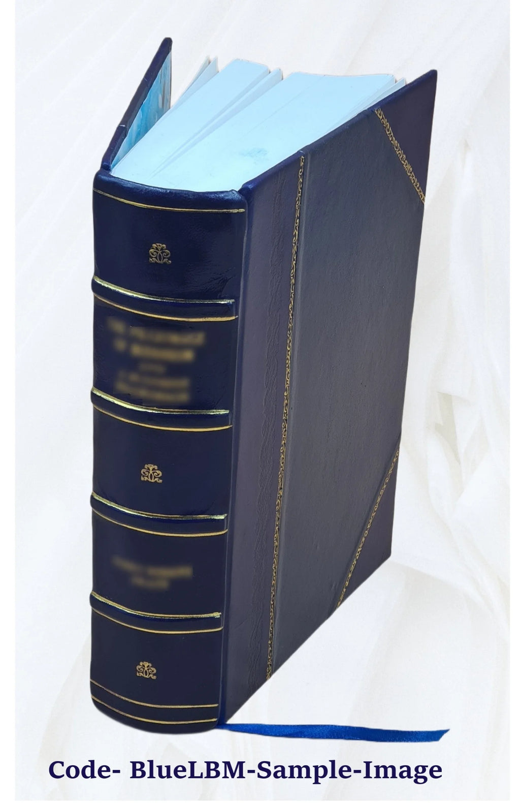 Leather Bound Book F18104