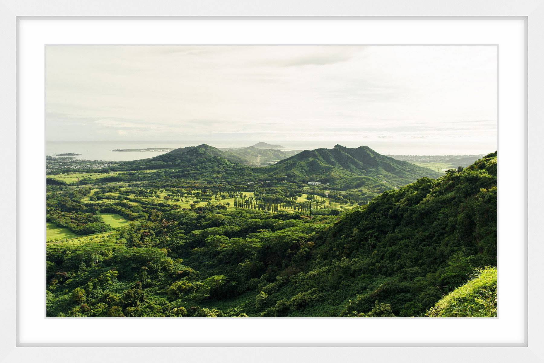 Green Scenery Framed Photographic Print P882