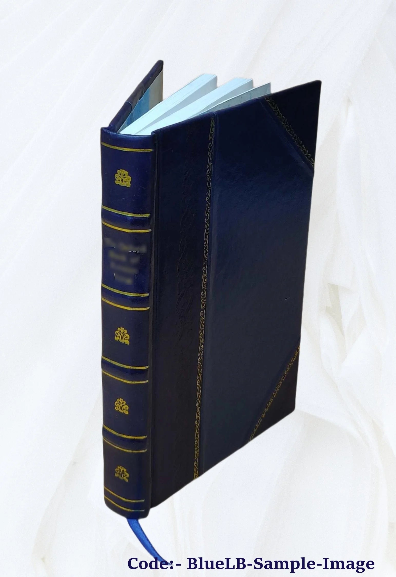 Leather Bound Book O372