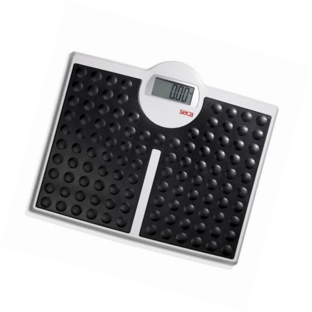 High Capacity Digital Flat Scale S26559