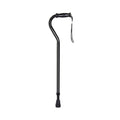 Black Steel Cane N222327