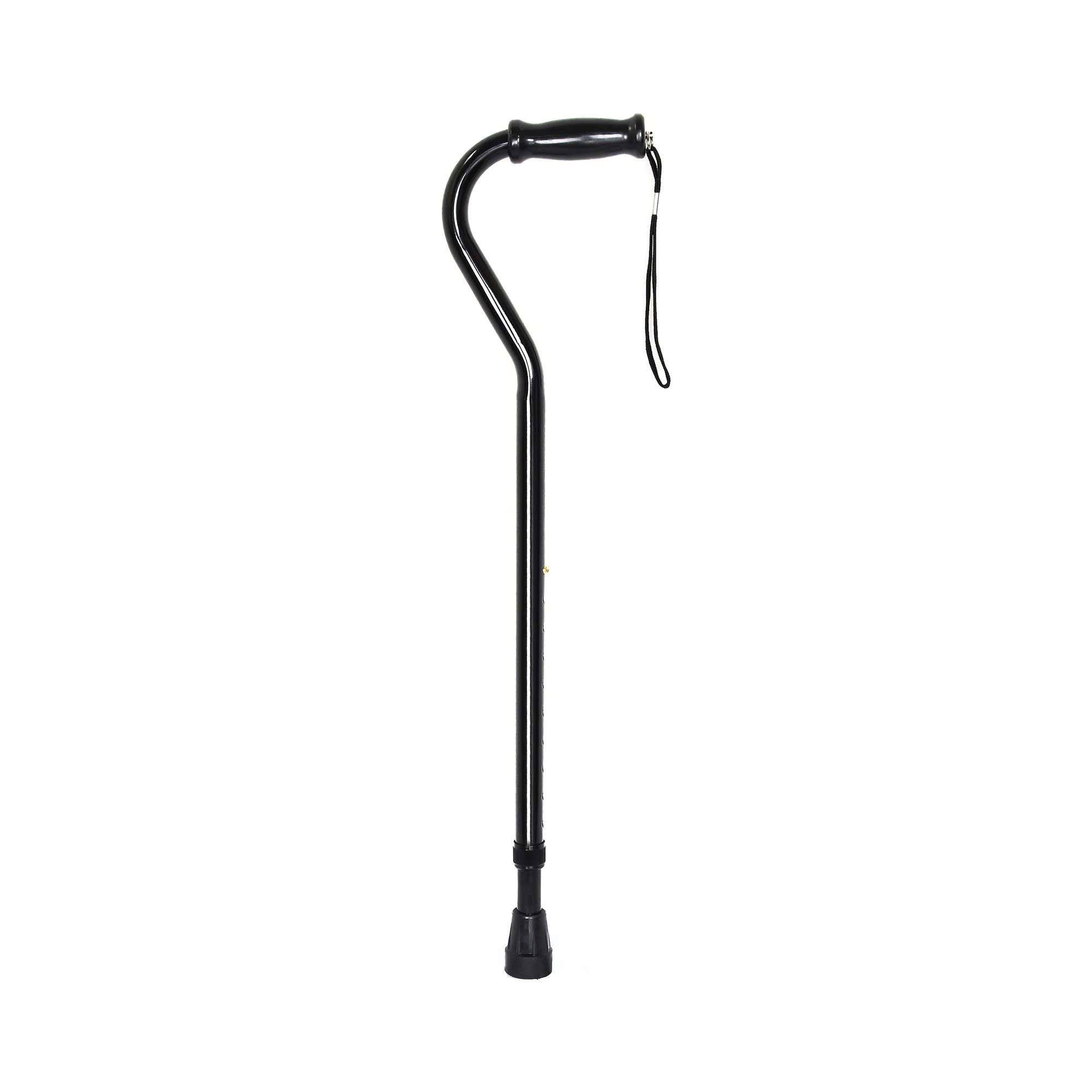 Black Steel Cane N222327
