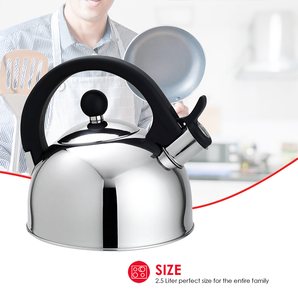 2.5L Stainless Steel Tea Kettle J2770