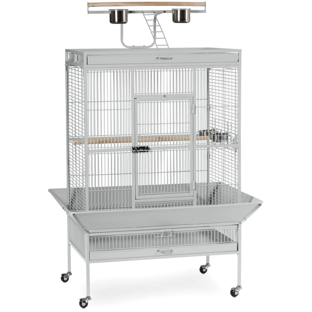 Pewter Wrought Iron Parrot Bird Cage G520286