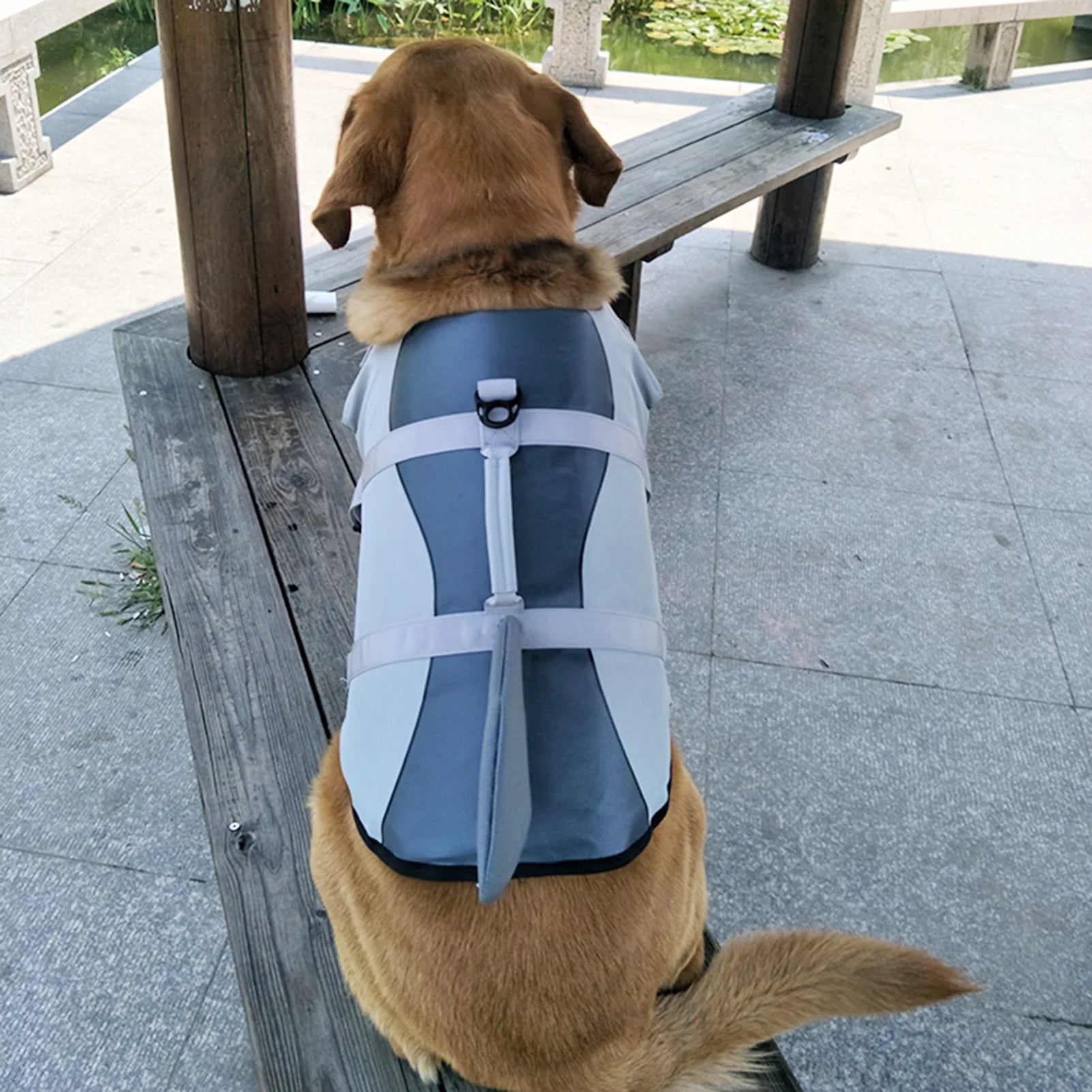 Dog Pet Shark Swimsuit Vest Pet Safety Wear Dog Swimsuit Preserver Q7770