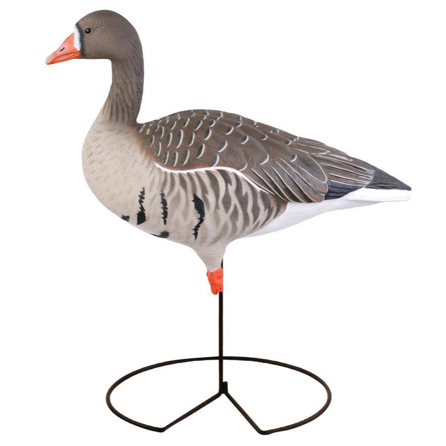 Full-Body Specklebelly Decoy Pack X155199