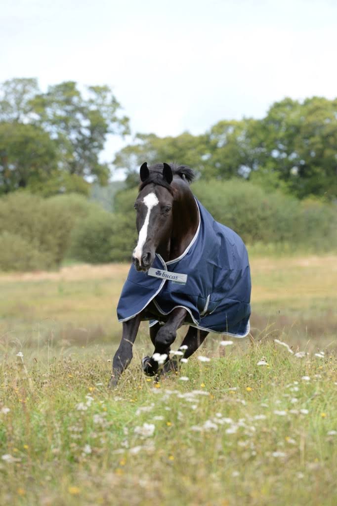 160 Navy Turnout 300 Grams T669