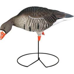 Full-Body Specklebelly Decoy Pack X155199