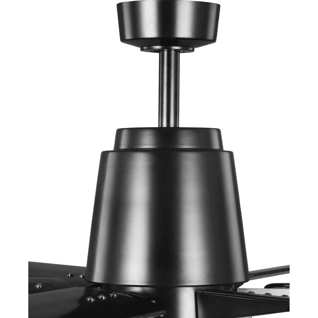 Black Ceiling Fan Z656